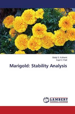 Marigold: Stability Analysis (Paperback)