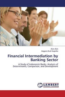 Financial Intermediation by Banking Sector (Paperback)