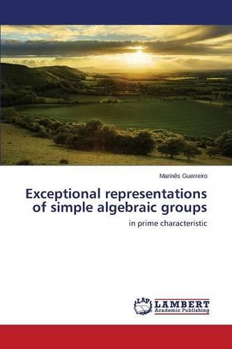 Exceptional Representations of Simple Algebraic Groups (Paperback)