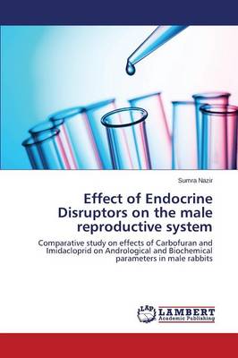 Effect of Endocrine Disruptors on the Male Reproductive System (Paperback)