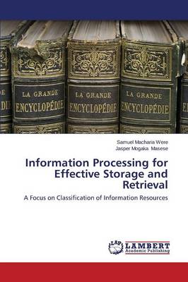 Information Processing for Effective Storage and Retrieval (Paperback)