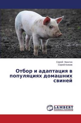 Otbor I Adaptatsiya V Populyatsiyakh Domashnikh Sviney (Paperback)