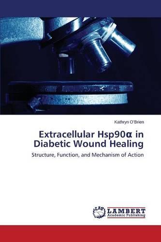 Extracellular Hsp90 in Diabetic Wound Healing (Paperback)