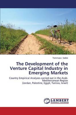 The Development of the Venture Capital Industry in Emerging Markets (Paperback)