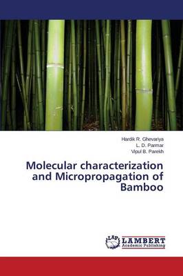 Molecular Characterization and Micropropagation of Bamboo (Paperback)