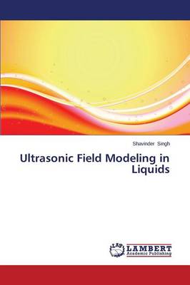 Ultrasonic Field Modeling in Liquids (Paperback)