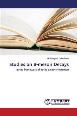Studies on B-Meson Decays (Paperback)