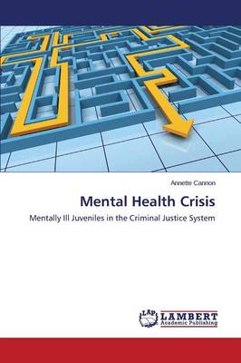 Mental Health Crisis (Paperback)