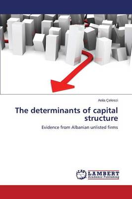 The Determinants of Capital Structure (Paperback)