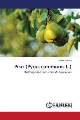 Pear (Pyrus Communis L.) (Paperback)