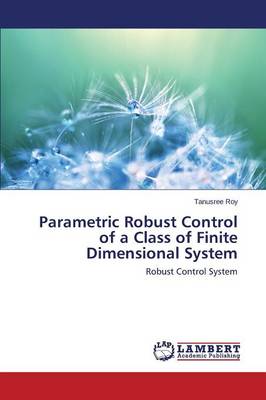 Parametric Robust Control of a Class of Finite Dimensional System (Paperback)