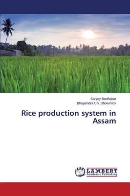 Rice Production System in Assam (Paperback)
