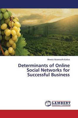Determinants of Online Social Networks for Successful Business (Paperback)