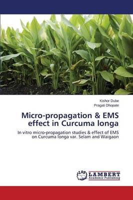 Micro-Propagation & EMS Effect in Curcuma Longa (Paperback)