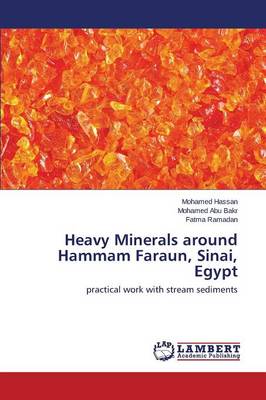 Heavy Minerals Around Hammam Faraun, Sinai, Egypt (Paperback)
