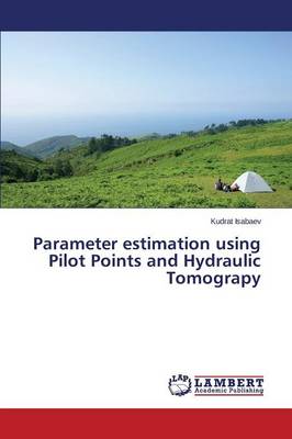Parameter Estimation Using Pilot Points and Hydraulic Tomograpy (Paperback)