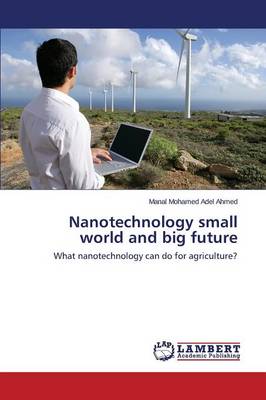 Nanotechnology Small World and Big Future (Paperback)