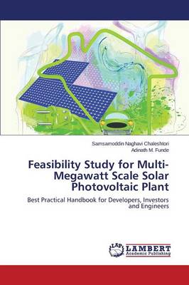Feasibility Study for Multi-Megawatt Scale Solar Photovoltaic Plant (Paperback)