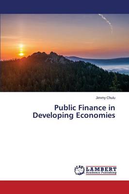 Public Finance in Developing Economies (Paperback)