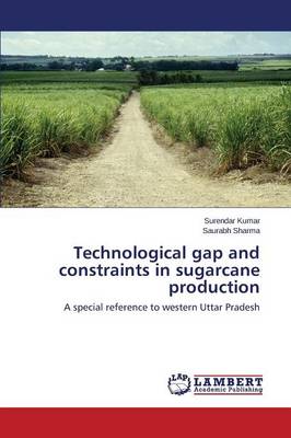 Technological Gap and Constraints in Sugarcane Production (Paperback)