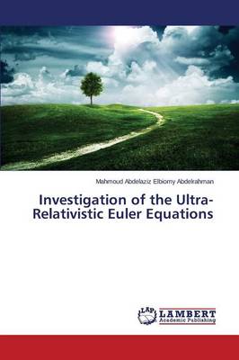 Investigation of the Ultra-Relativistic Euler Equations (Paperback)