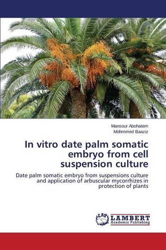 In Vitro Date Palm Somatic Embryo from Cell Suspension Culture (Paperback)