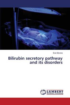 Bilirubin Secretory Pathway and Its Disorders (Paperback)