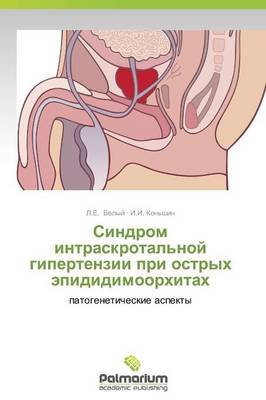 Sindrom Intraskrotal'noy Gipertenzii Pri Ostrykh Epididimoorkhitakh (Paperback)