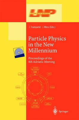 Particle Physics in the New Millennium: Proceedings of the 8th Adriatic Meeting - Lecture Notes in Physics 616 (Paperback)