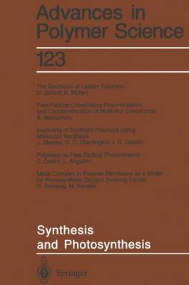 Synthesis and Photosynthesis - Advances in Polymer Science 123 (Paperback)