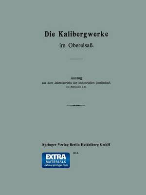 Die Kalibergwerke Im Oberelsa: Auszug Aus Dem Jahresbericht Der Industriellen Gesellschaft Von M lhausen i. e. (Paperback)