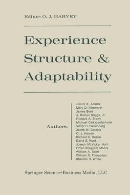 Experience Structure & Adaptability (Paperback)