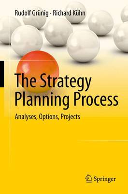 The Strategy Planning Process: Analyses, Options, Projects (Hardback)