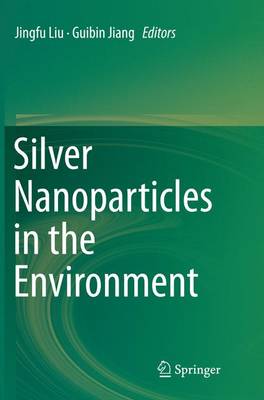 Silver Nanoparticles in the Environment (Paperback)