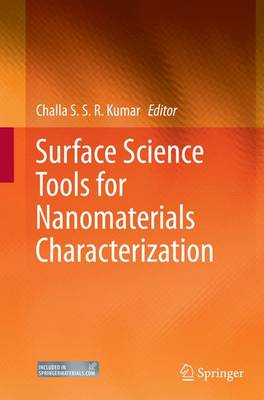 Surface Science Tools for Nanomaterials Characterization (Paperback)