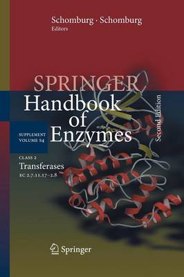 Class 2 Transferases: EC 2.7.11.17-2.8 - Springer Handbook of Enzymes S4 (Paperback)