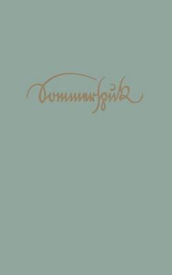 Sommerspuk: Roman (Paperback)