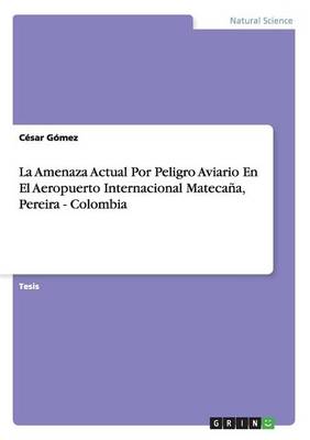 La Amenaza Actual Por Peligro Aviario En El Aeropuerto Internacional Mateca a, Pereira - Colombia (Paperback)