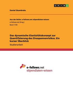 Das Dynamische Elastizit tskonzept Zur Quantifizierung Des Zinsspannenrisikos. Ein Kurzer berblick (Paperback)