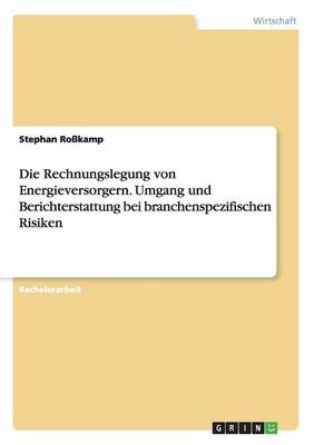 Die Rechnungslegung Von Energieversorgern. Umgang Und Berichterstattung Bei Branchenspezifischen Risiken (Paperback)