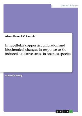Intracellular Copper Accumulation and Biochemical Changes in Response to Cu Induced Oxidative Stress in Brassica Species (Paperback)
