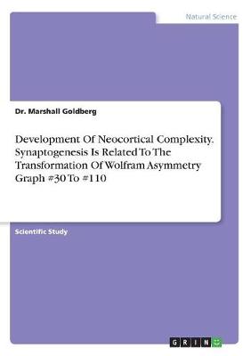 Development of Neocortical Complexity. Synaptogenesis Is Related to the Transformation of Wolfram Asymmetry Graph #30 to #110 (Paperback)
