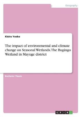 The Impact of Environmental and Climate Change on Seasonal Wetlands. the Bugingo Wetland in Mayuge District (Paperback)