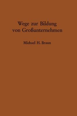 Wege Zur Bildung Von Grossunternehmen (Paperback)