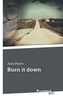Burn It Down (Paperback)