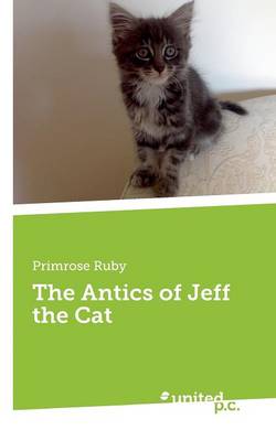 The Antics of Jeff the Cat (Paperback)