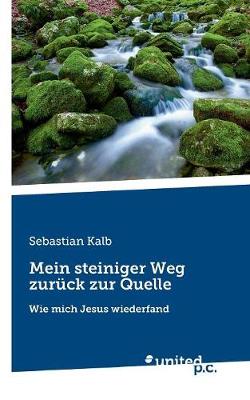 Mein Steiniger Weg Zur ck Zur Quelle (Paperback)