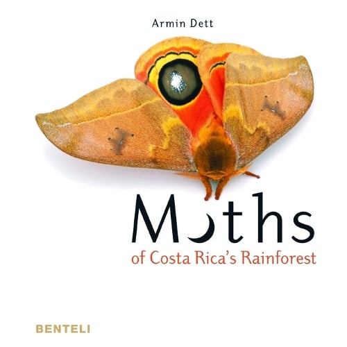 Moths of Costa Rica's Rainforest (Hardback)