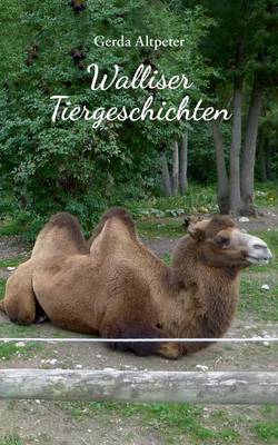 Walliser Tiergeschichten (Paperback)