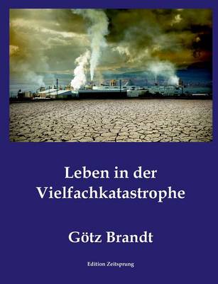 Leben in Der Vielfachkatastrophe (Paperback)